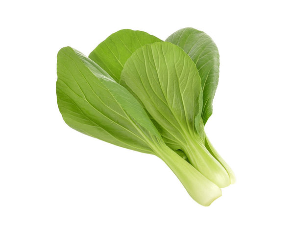 Pak Choi Plant Pods 3-pack