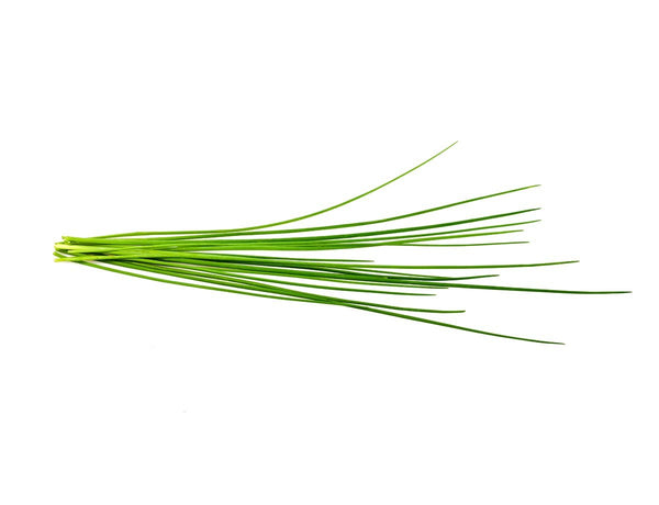 Chives Plant Pods 3-pack