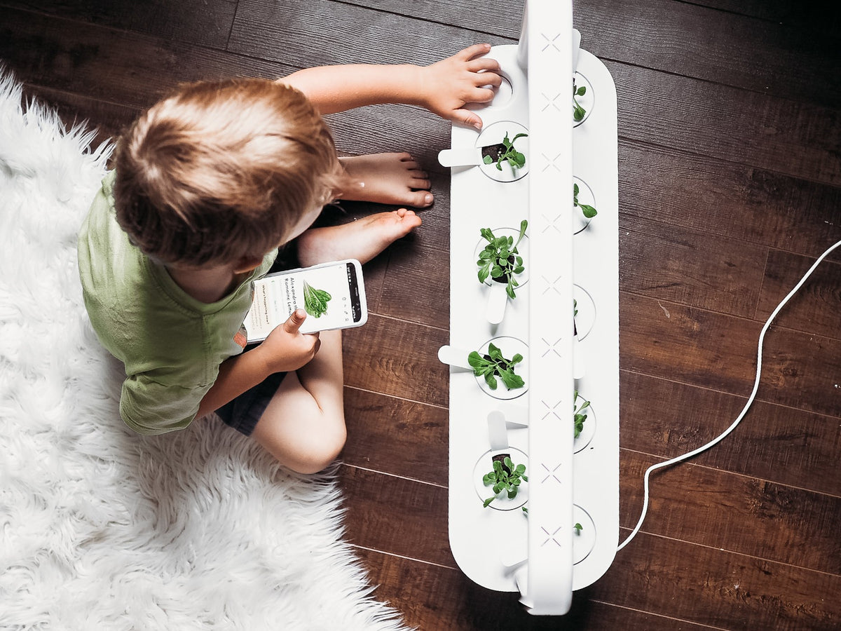 The Smart Garden 9 / The Smart Garden 9