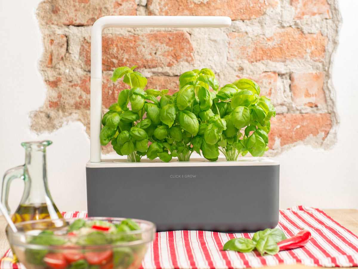 The Smart Garden 3 / Grow herbs all year round with a smart indoor garden. Grow fresh basil, fresh cilantro and many more with the Click & Grow plant growing kit called the smart indoor garden.