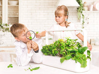 The Smart Garden 9 / The Smart Garden 9