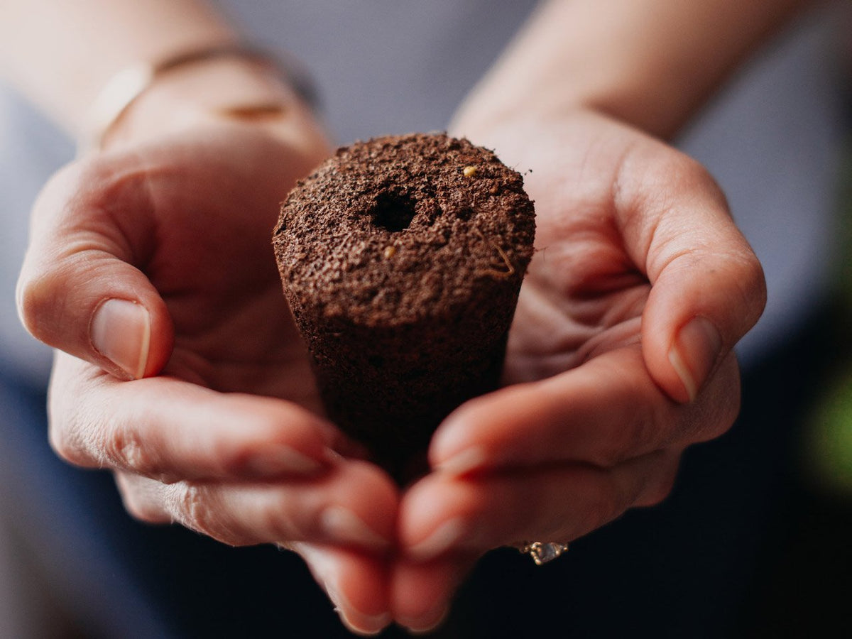 The Smart Garden 3 / Grow herbs all year round with a smart indoor garden. Grow fresh basil, fresh cilantro and many more with the Click & Grow plant growing kit called the smart indoor garden.