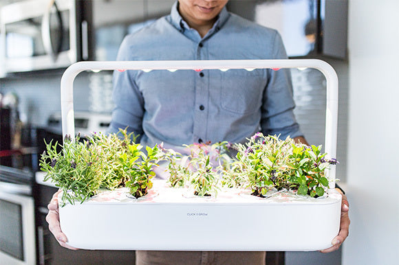 Click and Grow helps millions of people to access vitamin-rich greens.