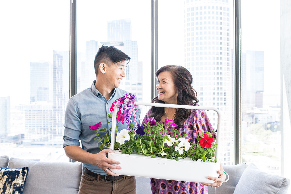 No gardening experience needed to grow your own fresh greens