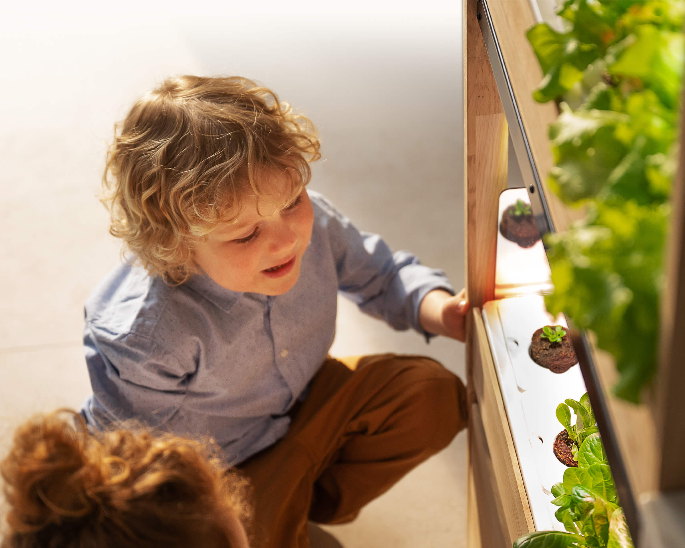 Hero image girl with garden