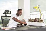 Man sitting at an office desk with a Click & Grow Smart Garden 9.