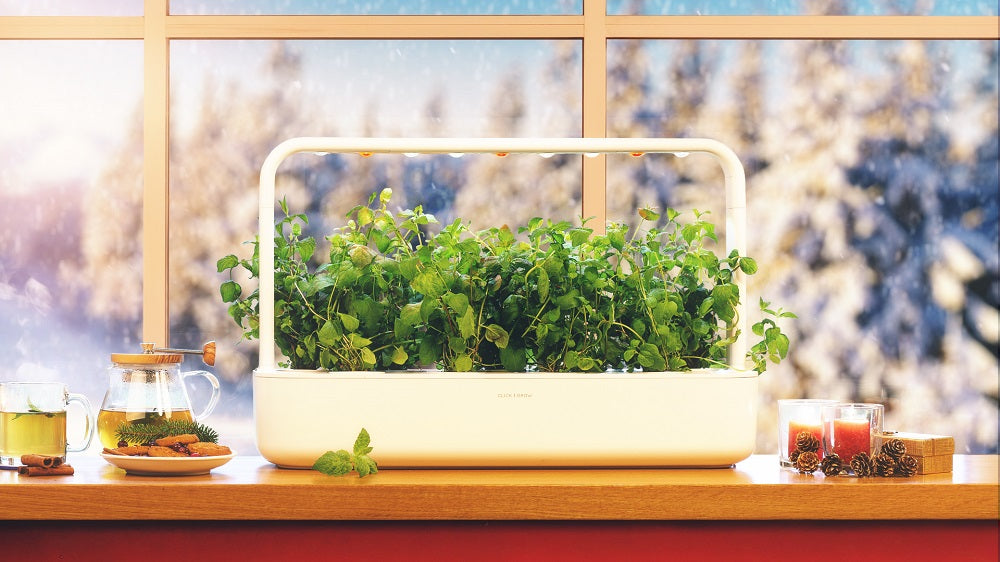 5 Ways to Use Your Smart Indoor Garden During the Holidays