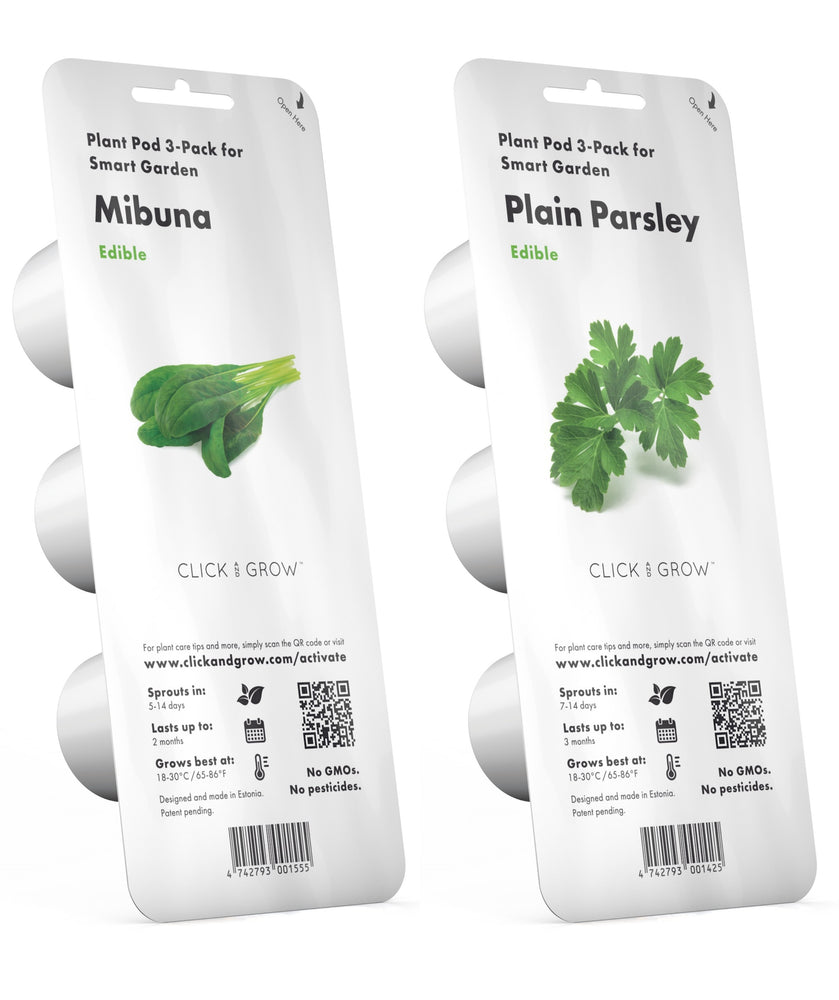 Introducing Our New Plants, Mibuna & Plain Parsley!