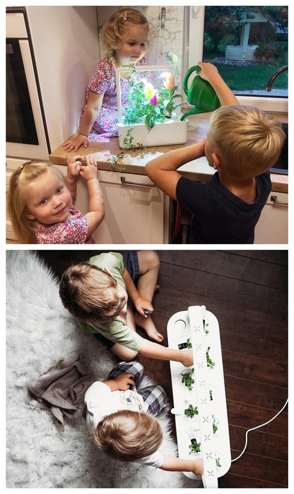 Growing with indoor smart gardens: 2 moms share their experiences