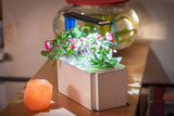 Coolest DIY Indoor Garden Concepts With Smart Soil