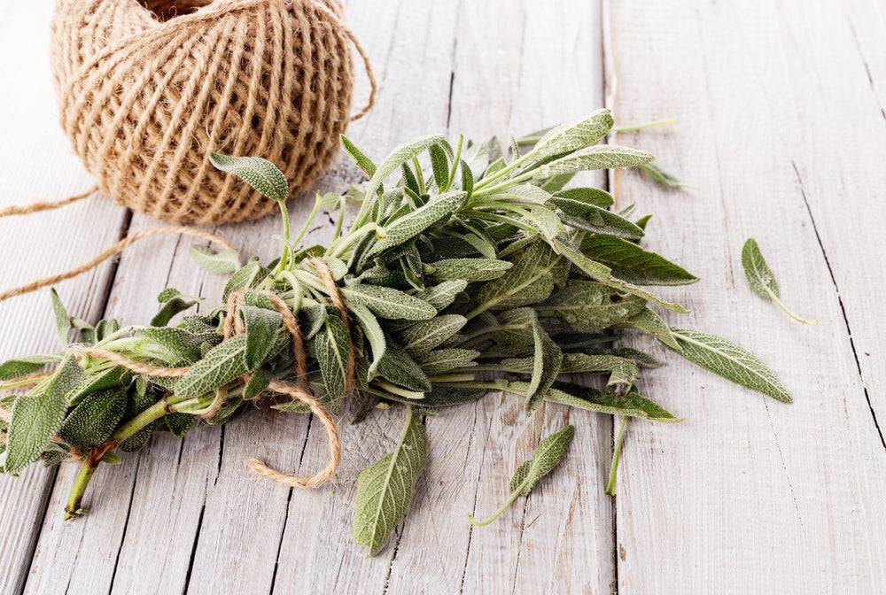 10 Click & Grow Herbs You Can Use for Incense