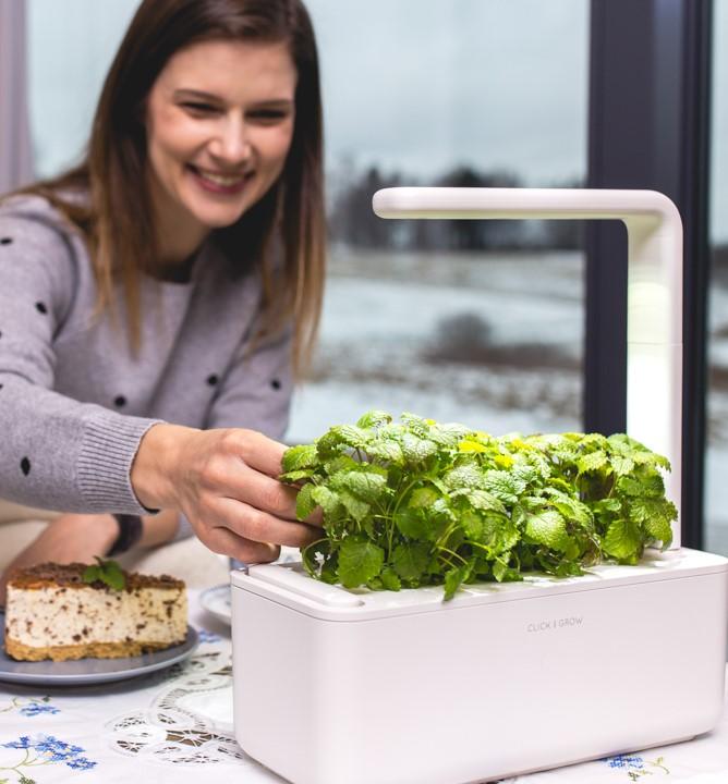 Click & Grow’s Smart Indoor Gardens: A Brief History