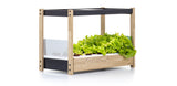 Click and Grow 25