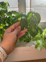 Closeup of the Click and Grow Smart Garden 9 in a classroom setting.