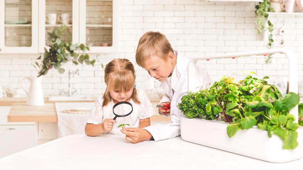 Kids’ Gardening Activities & Easy Plants to Grow Indoors During Lockdown