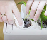 mold, smart soil, smart garden