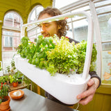 How Long Does it Take My Seeds to Germinate?