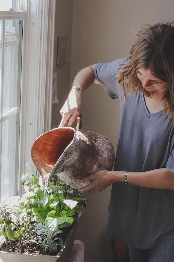 Celebrate Houseplant Appreciation Day