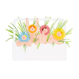 Health Is Where Your Plants Are