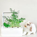 Rabbit next to the Click and Grow Smart Garden 3.
