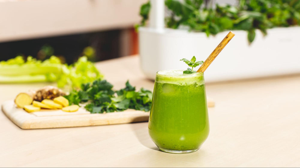 Refreshing Green Juice Recipe | Click & Grow