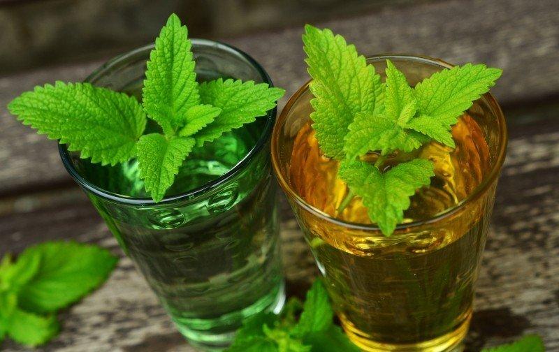 Quick Guide: 5 Herbs that Heal