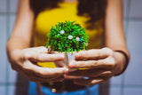 Woman holding a small plant.