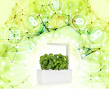 The Release of GardenCoin