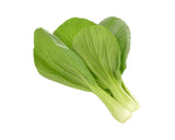 Pak Choi Plant Pods 9-pack