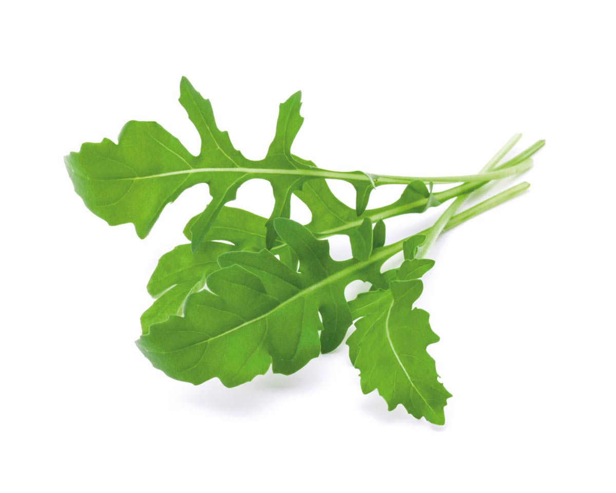 Arugula Plant Pods 9-pack / Arugula Plant Pods 9-pack