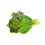 Asian Greens Mix 9-pack
