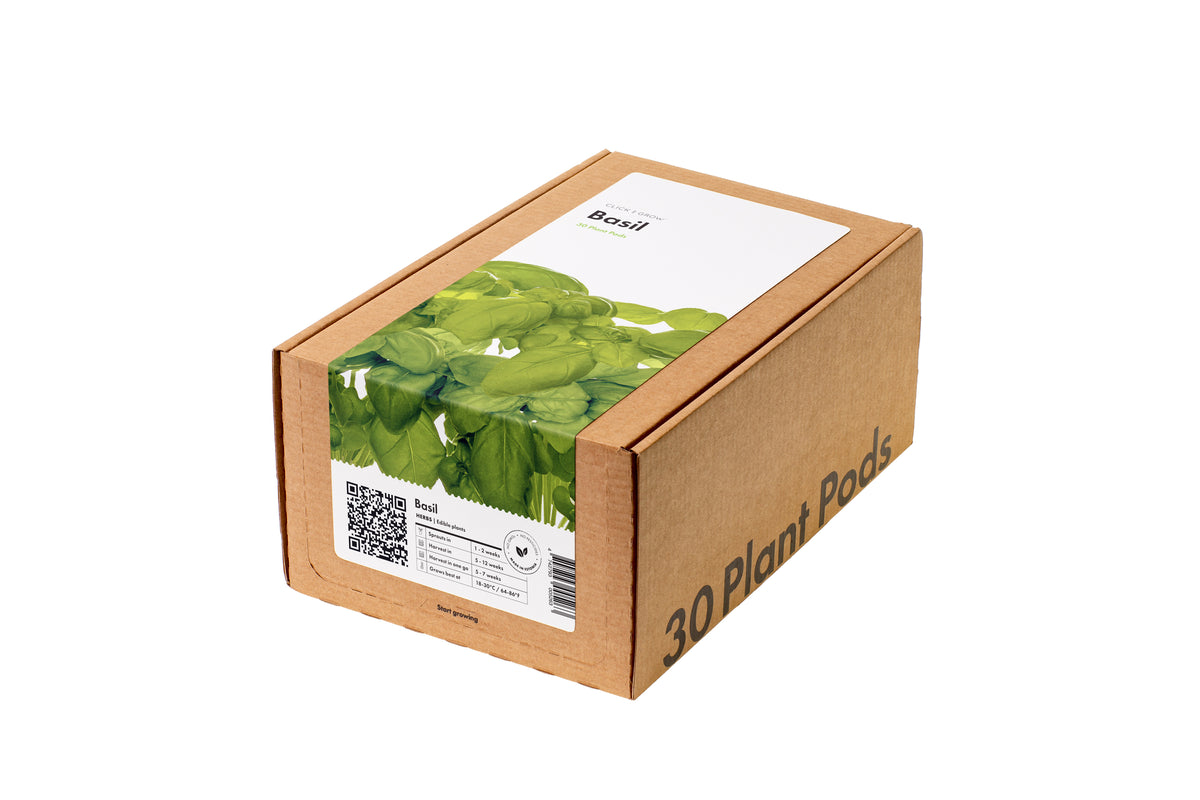 Basil 30-pack / Basil 30-pack