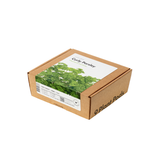Curly Parsley Plant Pods 9-pack