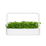 Curly Parsley Plant Pods 9-pack