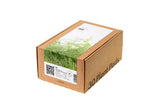 Dill Plant Pods 30-pack