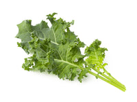 Green Kale 30-pack / Green Kale 30-pack