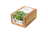 Green Kale Plant Pods 30-pack