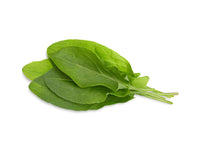 Green Sorrel Plant Pods 9-pack / Green Sorrel- Rumex acetosa. Grow fresh Green Sorrel in your indoor garden!