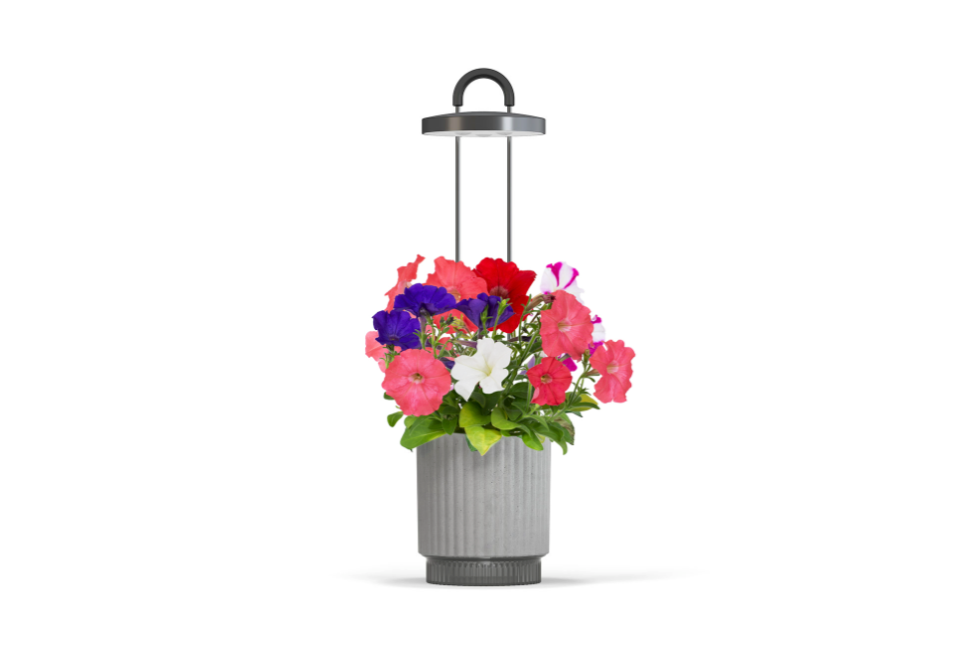 HydroVase by Ermonix