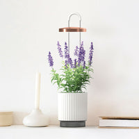 Best Gift Under $100 / Best Gift Under $100