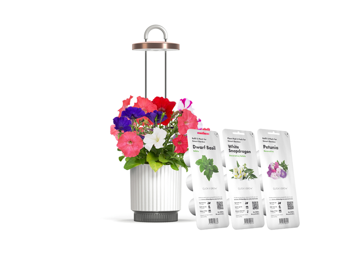 Best Gift Under $100