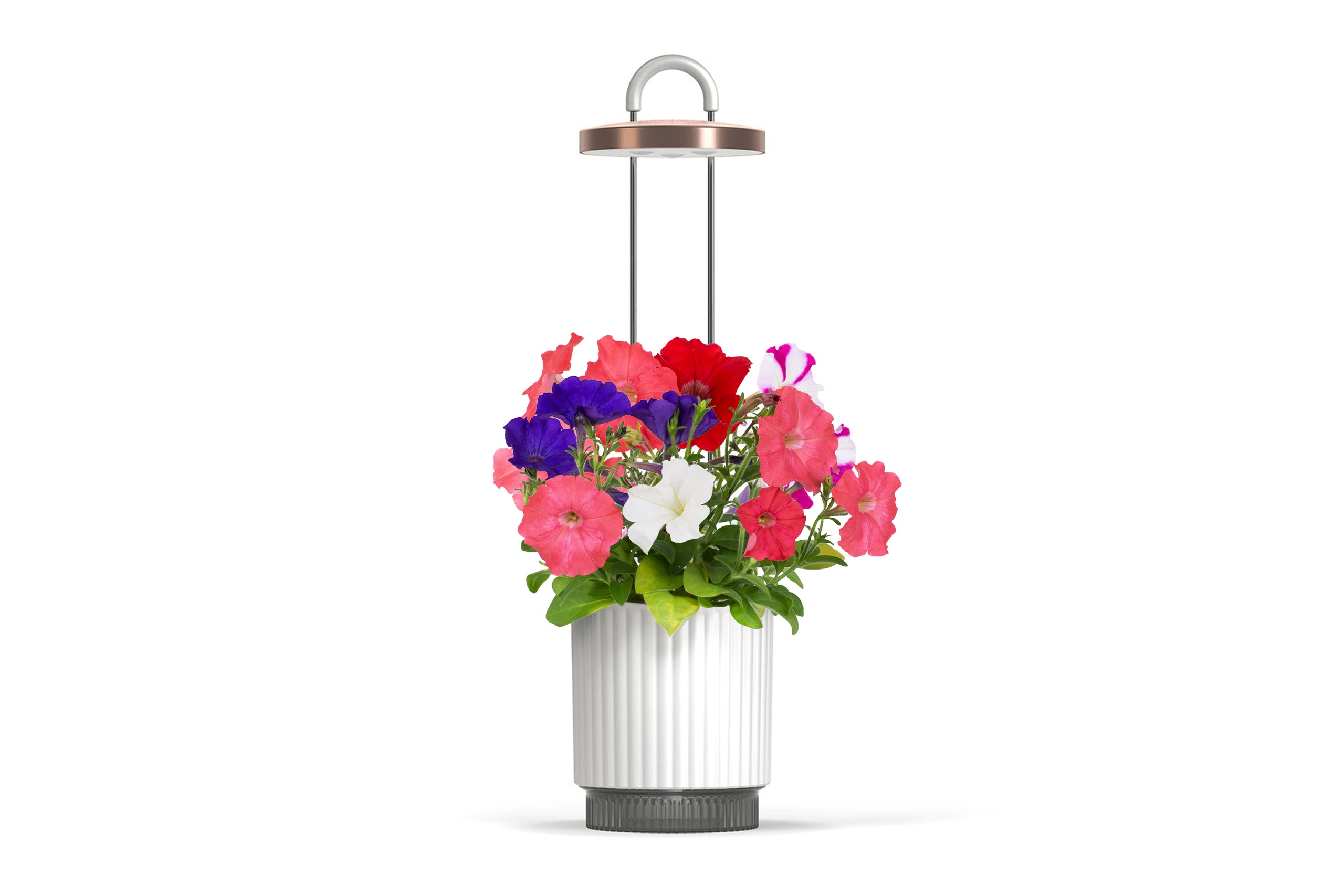 HydroVase by Ermonix