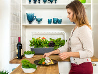 Best Gift Under $200 / Best Gift Under $200