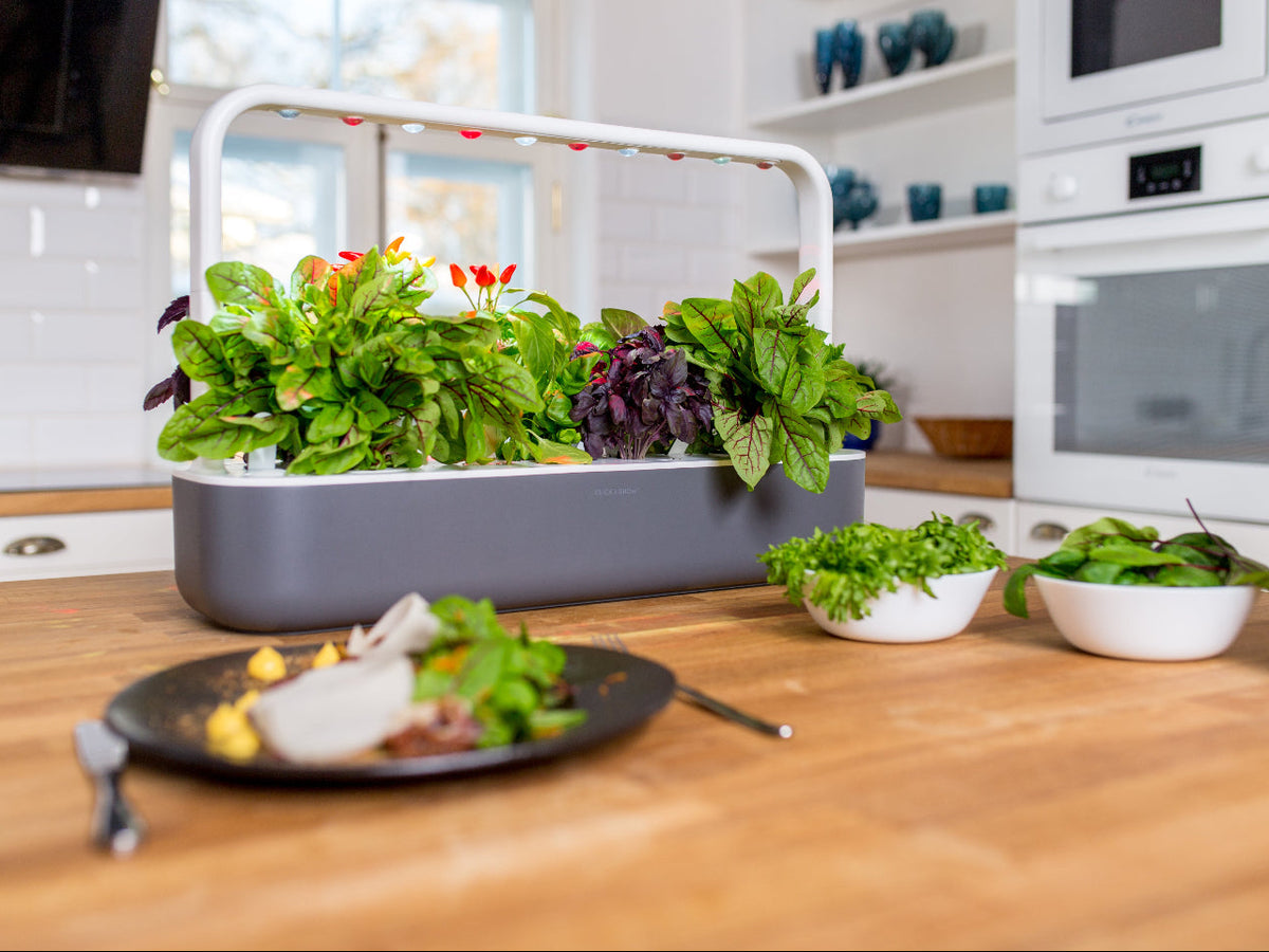 Best Gift Under $200 / Best Gift Under $200