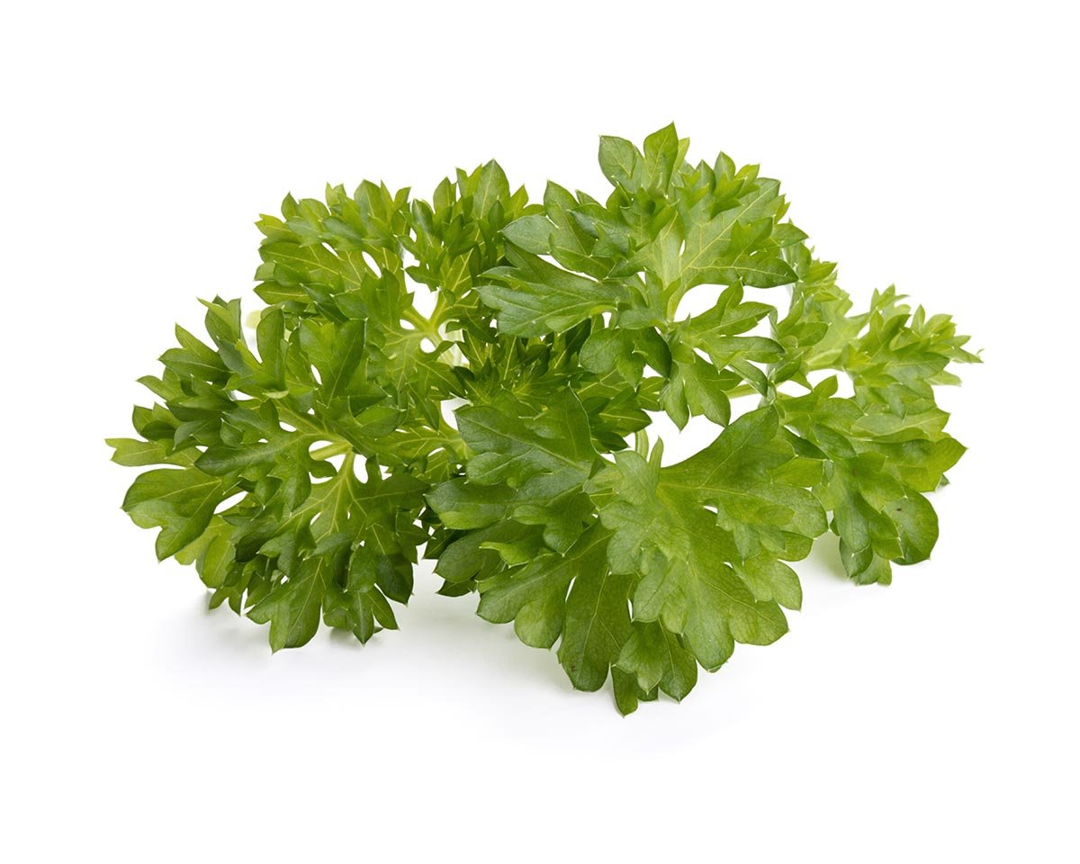 Curly Parsley 30-pack / Curly Parsley 30-pack