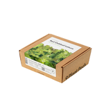 Red Oakleaf Lettuce Plant Pods 9-pack