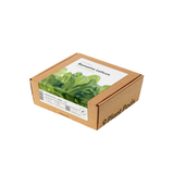 Romaine Lettuce Plant Pods 9-pack