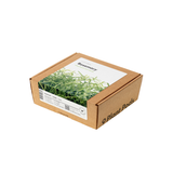 Rosemary Plant Pods 9-pack