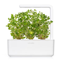 Oregano Plant Pods 9-pack / Oregano Plant Pods 9-pack