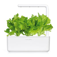 Green Lettuce Plant Pods 9-pack / Green Lettuce Plant Pods 9-pack